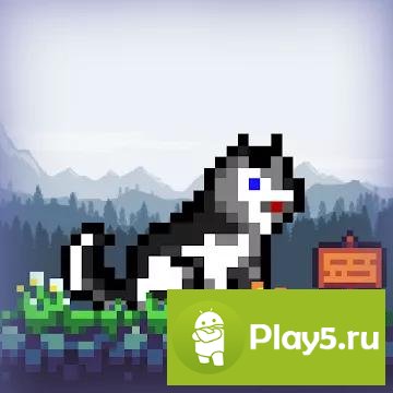 Super Husky: Adventure Platform Game
