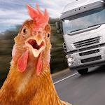 Chicken Challenge: Cross Road Royale