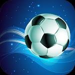 Winner Soccer Evo Elite / Футбольный победитель