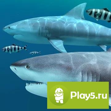 Акулы 3D - Живые обои