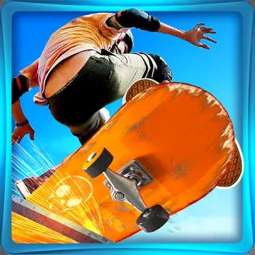   - Skate 3D